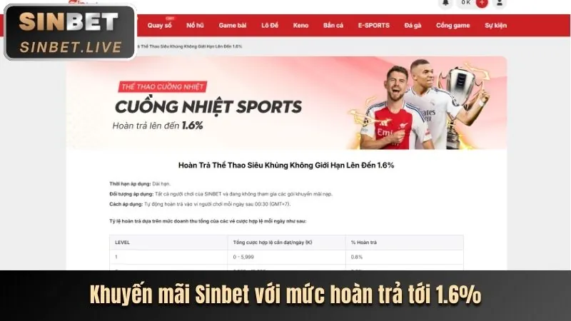 Hoàn trả Vin99 hàng ngày